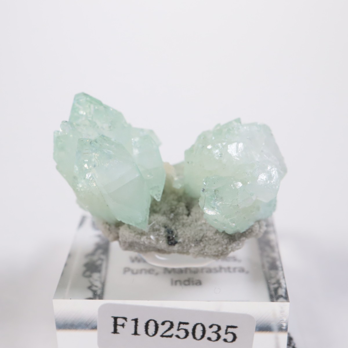 ����ɻ� ���ݥե��饤��