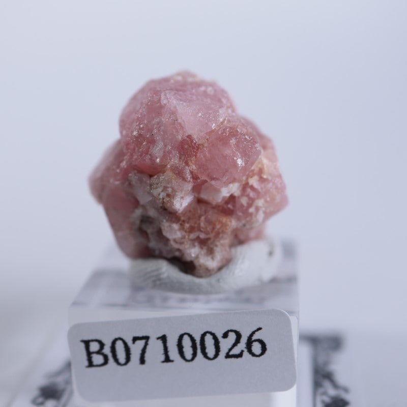 ご予約済セット　ピンクグロッシュラー メキシコ産／デマンドイド パキスタン産 ご予約済セット ピンクグロッシュラー メキシコ産／デマンドイド