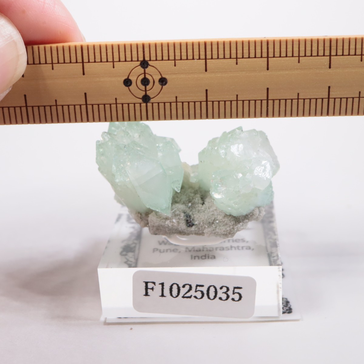 ����ɻ� ���ݥե��饤��