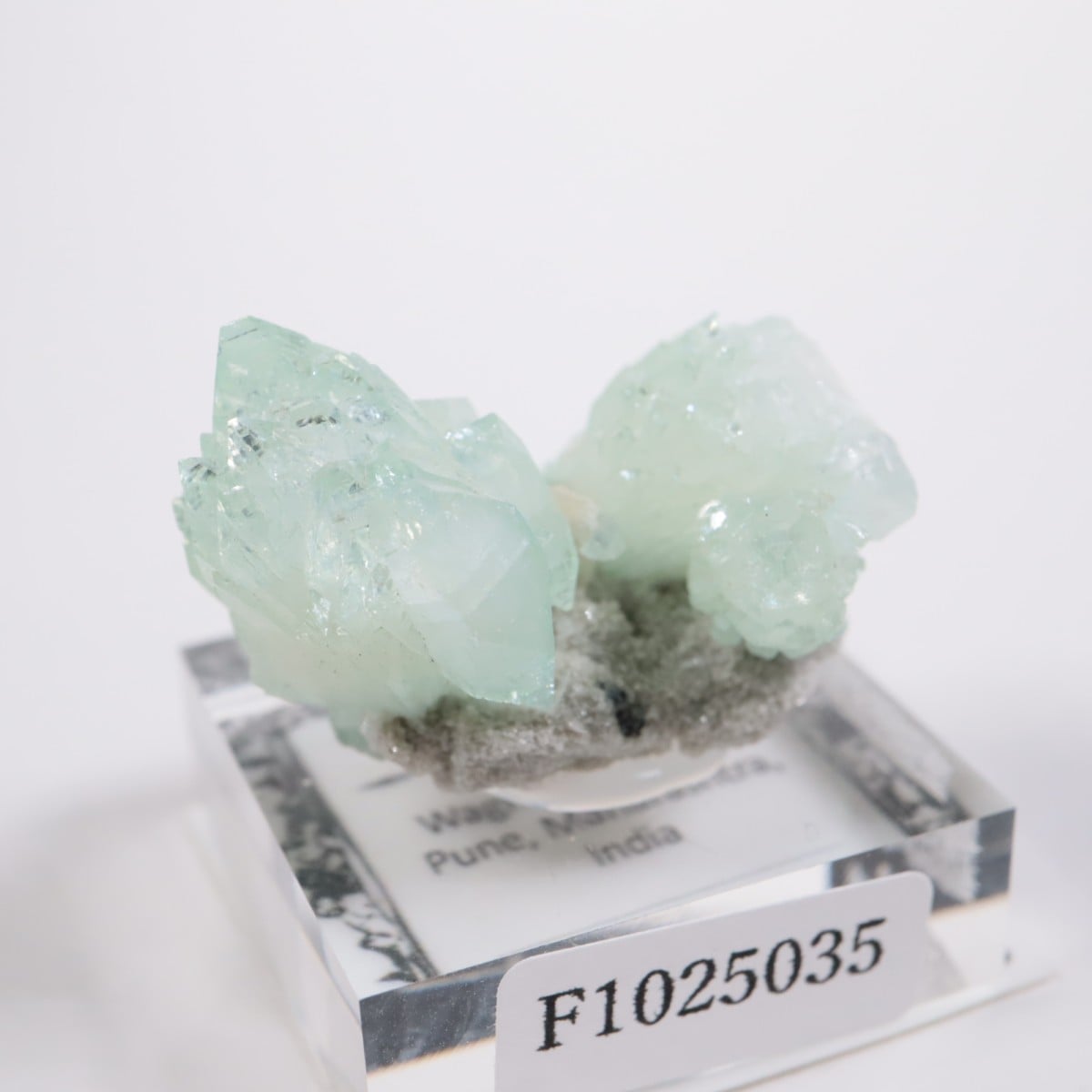 ����ɻ� ���ݥե��饤��