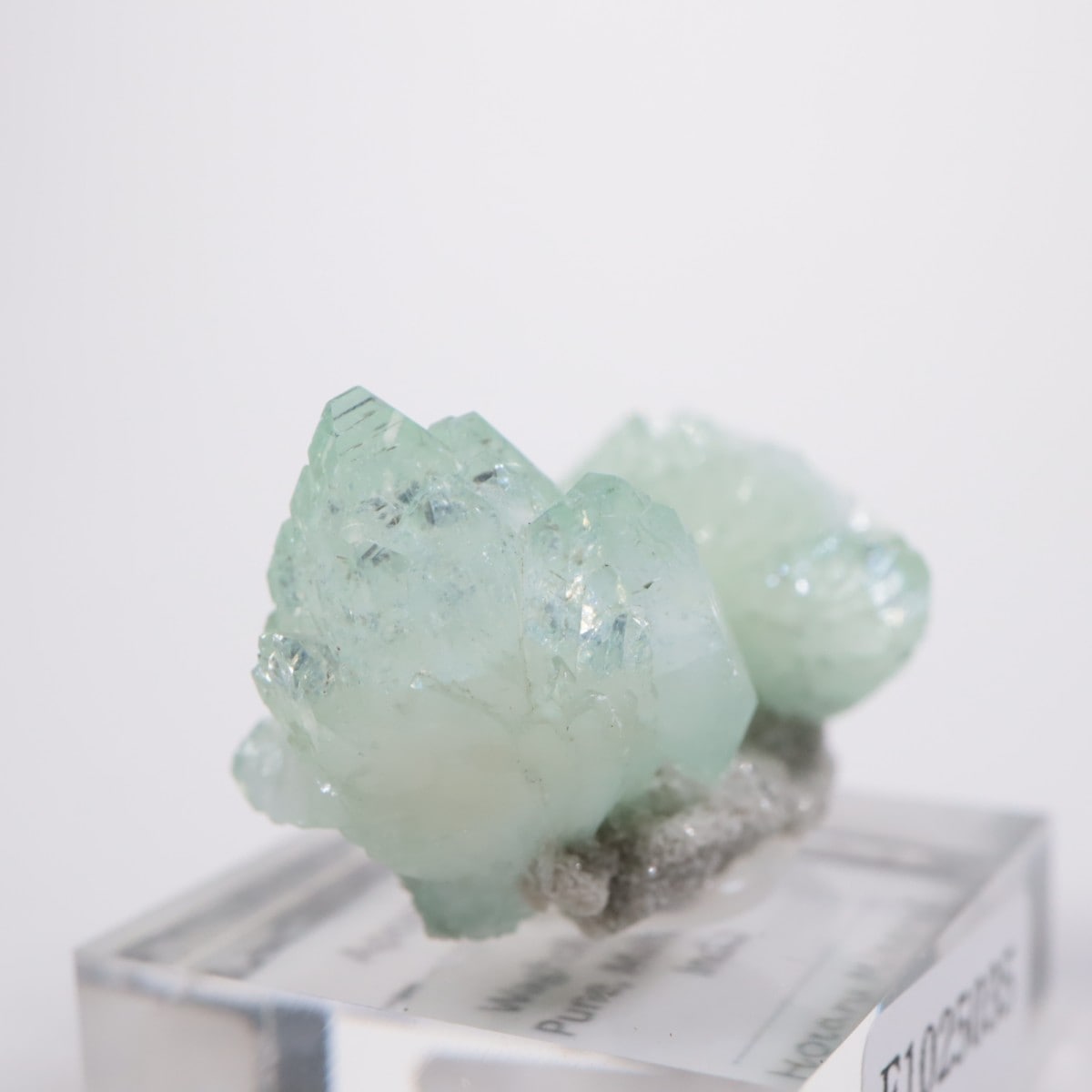 ����ɻ� ���ݥե��饤��