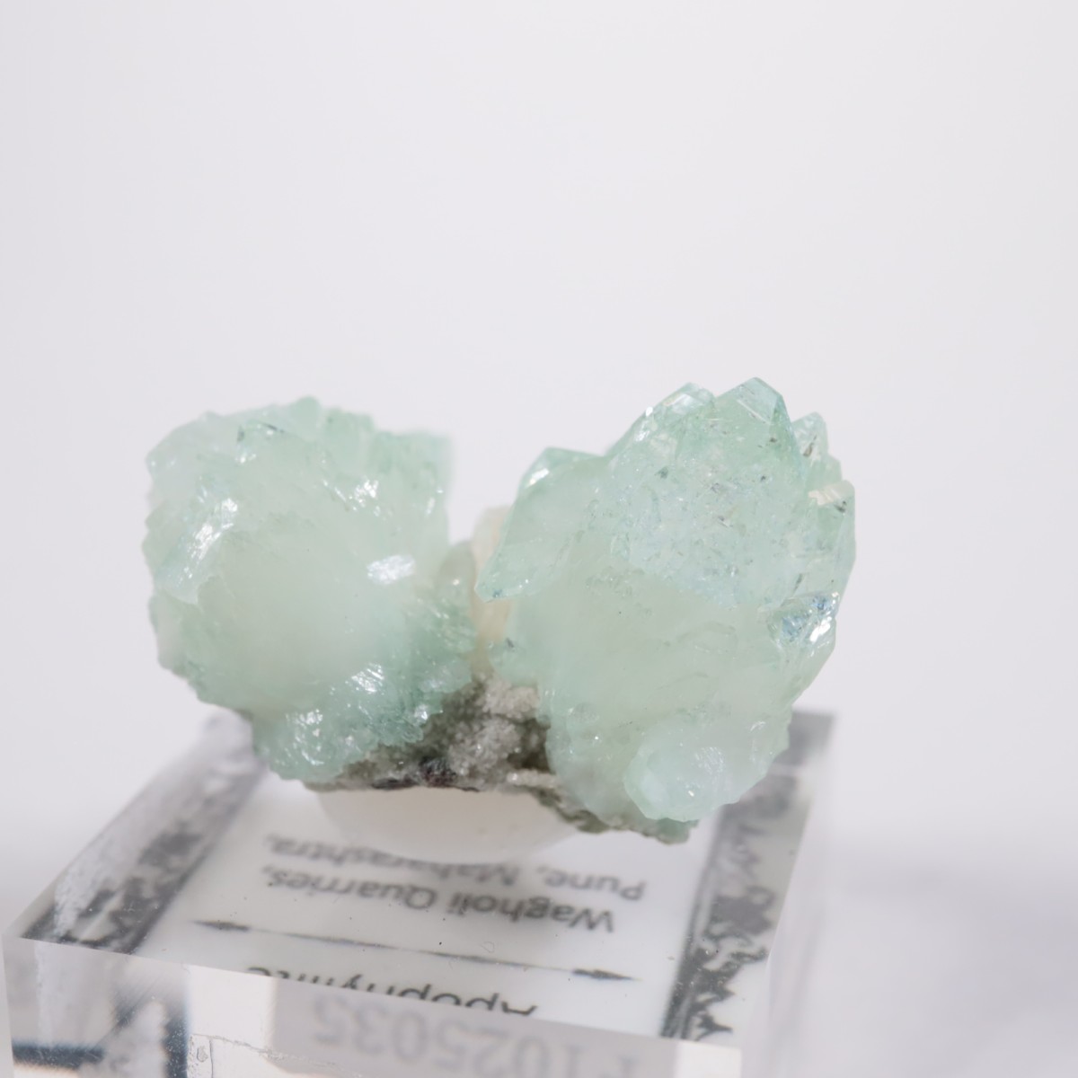 ����ɻ� ���ݥե��饤��