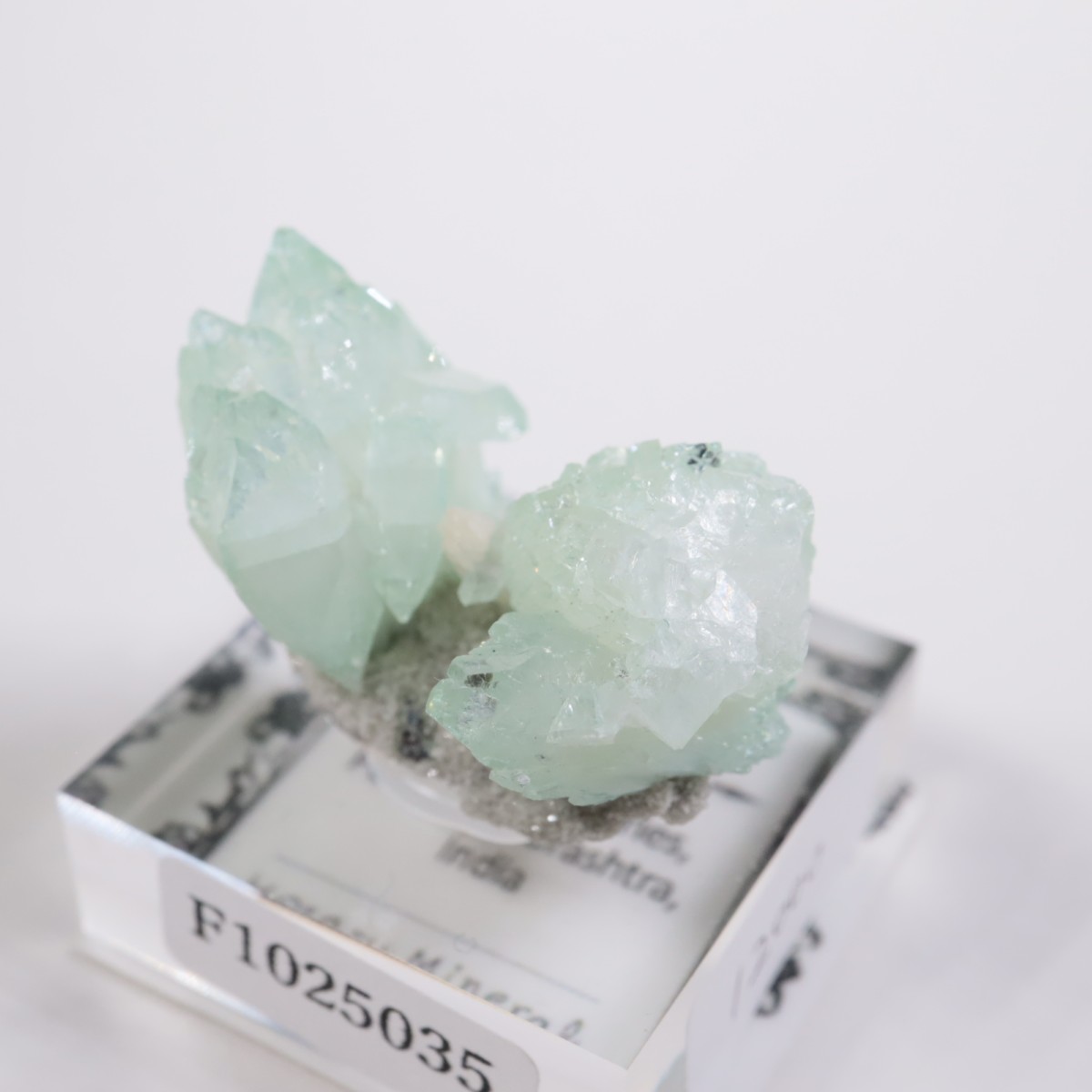 ����ɻ� ���ݥե��饤��