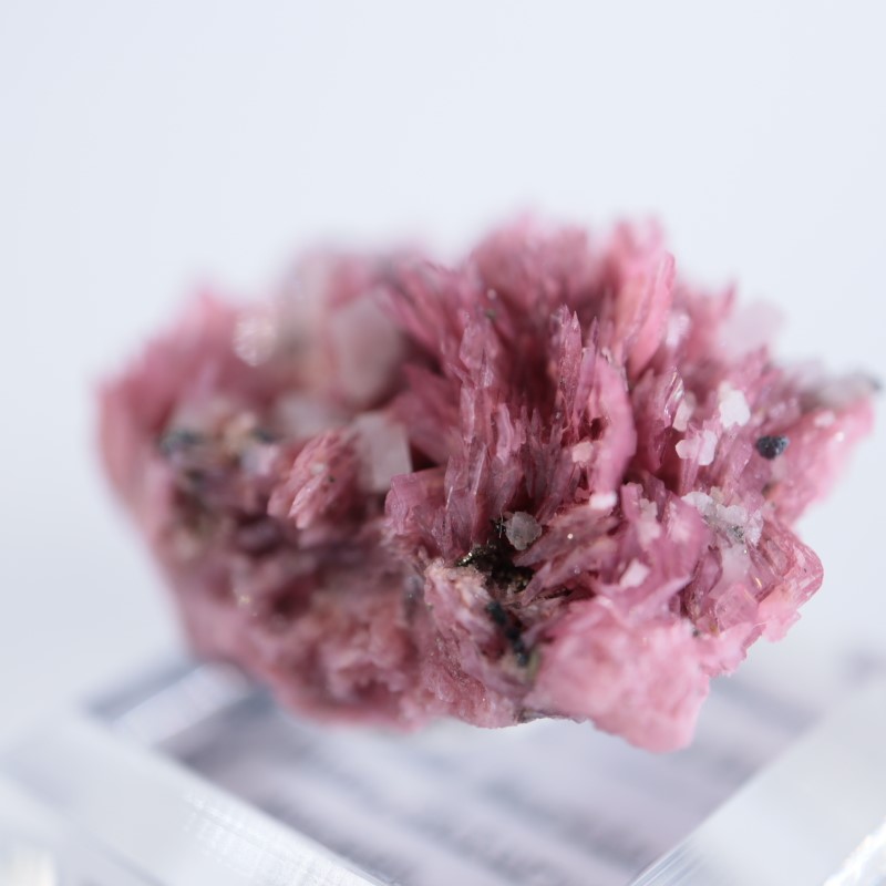 ペルー産 ロードナイト | 鉱物標本,ラ行,ロードナイト/バラ輝石