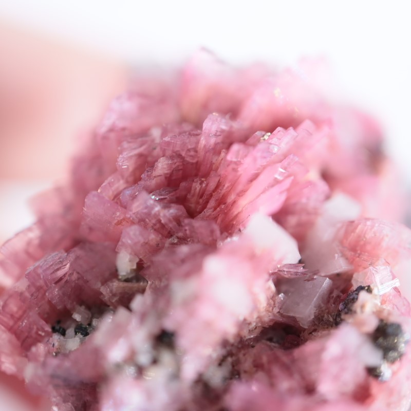 ペルー産 ロードナイト | 鉱物標本,ラ行,ロードナイト/バラ輝石 ペルー産 ロードナイト | 鉱物標本,ラ行,ロードナイト/バラ輝石