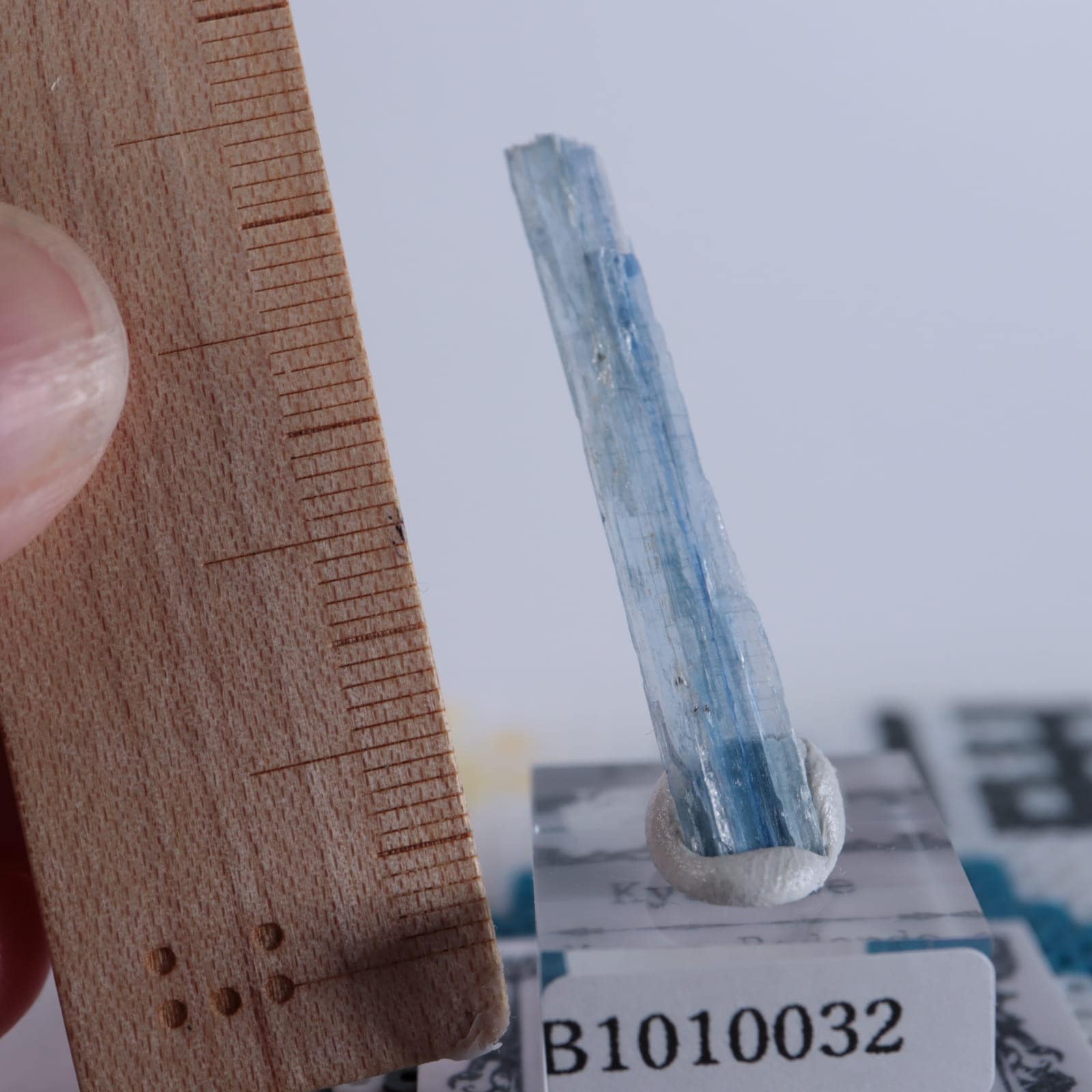 �֥饸�뻺��������ʥ���