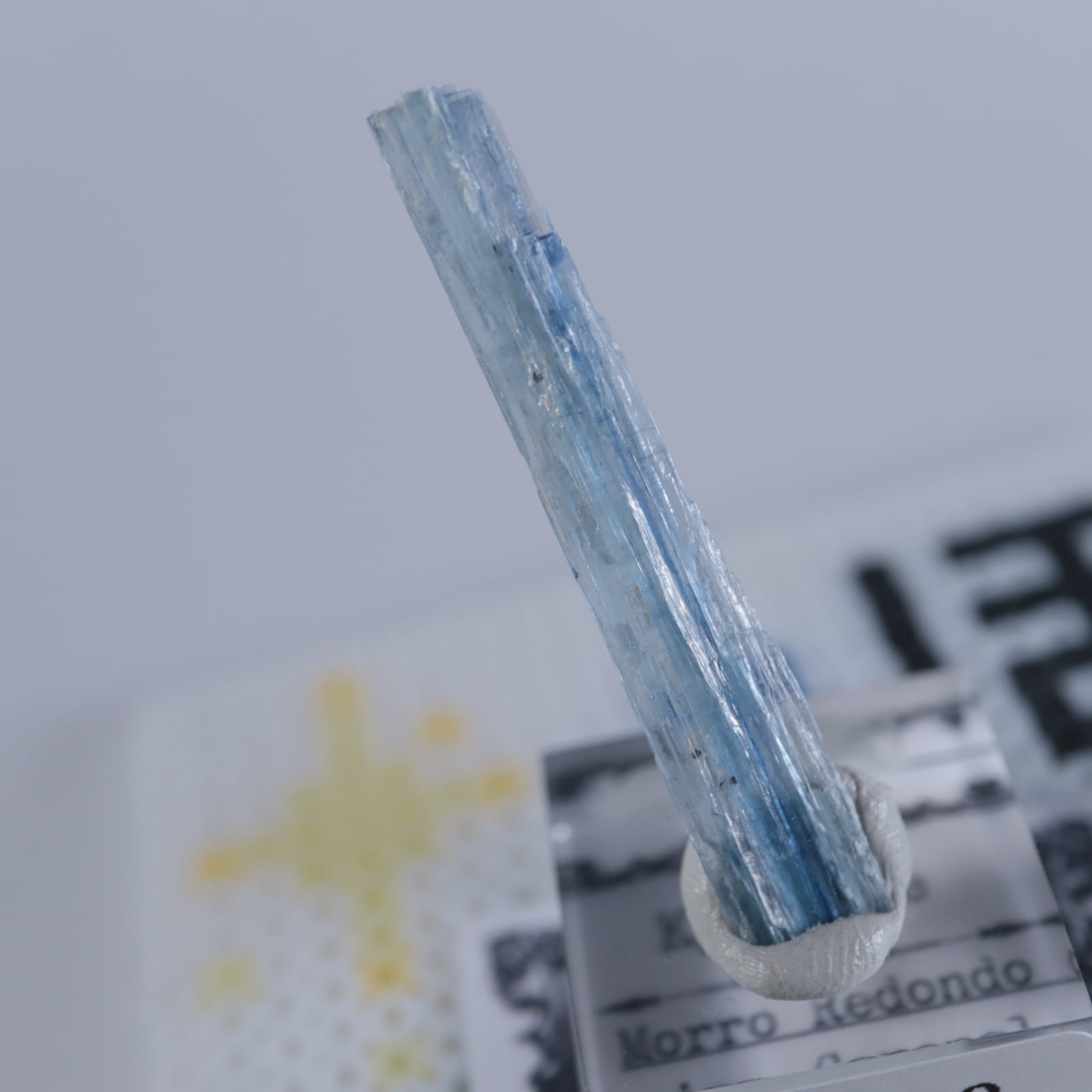 �֥饸�뻺��������ʥ���