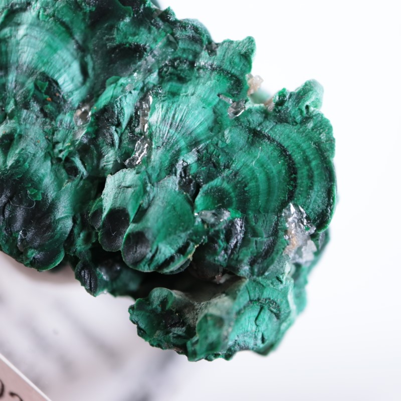 �������ȥ�ꥢ�����ޥ饫���ȡ����륵����