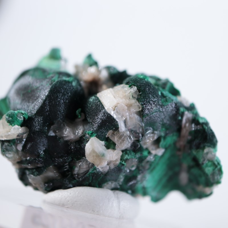 �������ȥ�ꥢ�����ޥ饫���ȡ����륵����