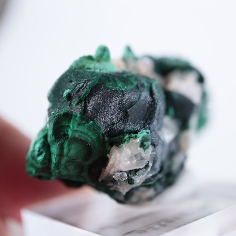 �������ȥ�ꥢ�����ޥ饫���ȡ����륵����