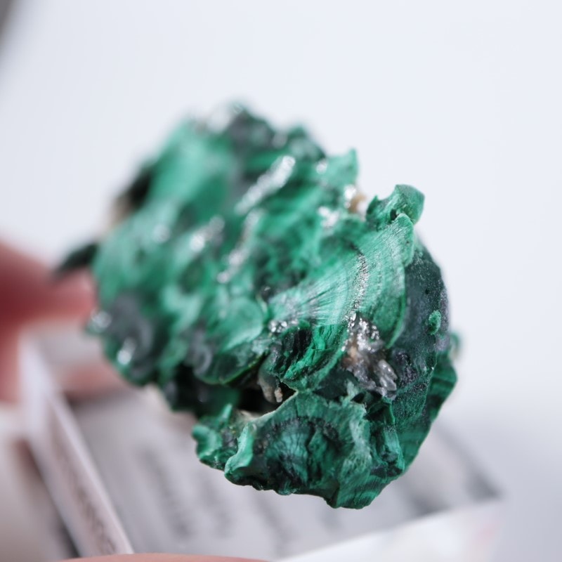 �������ȥ�ꥢ�����ޥ饫���ȡ����륵����