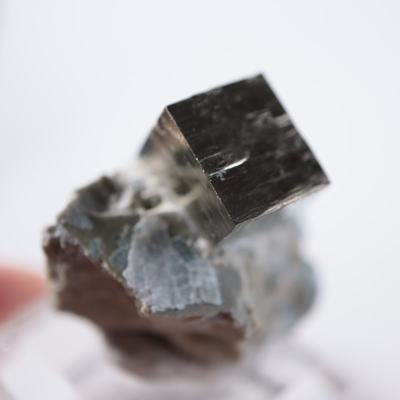 Victoria�ۻ����ѥ��饤��