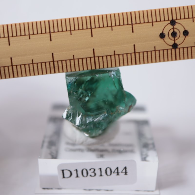 強蛍光！ロジャリー鉱山産フローライトのペントップ　14kgfワイヤーラップ 14kgf フローライト ペンダントトップ | rfrees ～place of