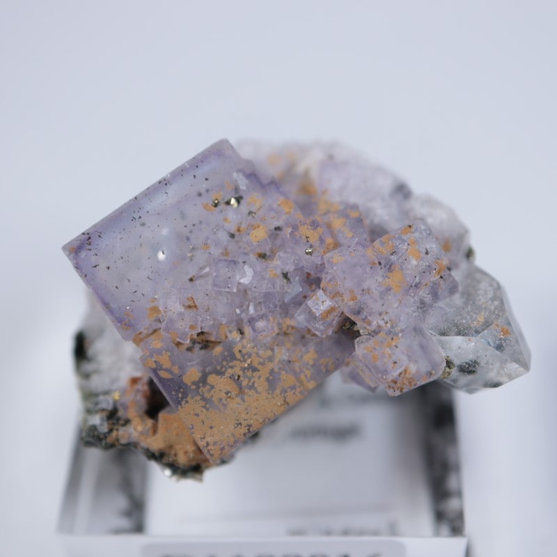 �ѥʥ�������ۻ������С��徽