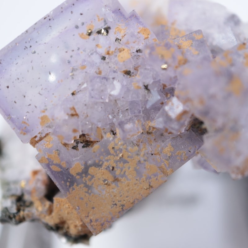 �ѥʥ�������ۻ������С��徽