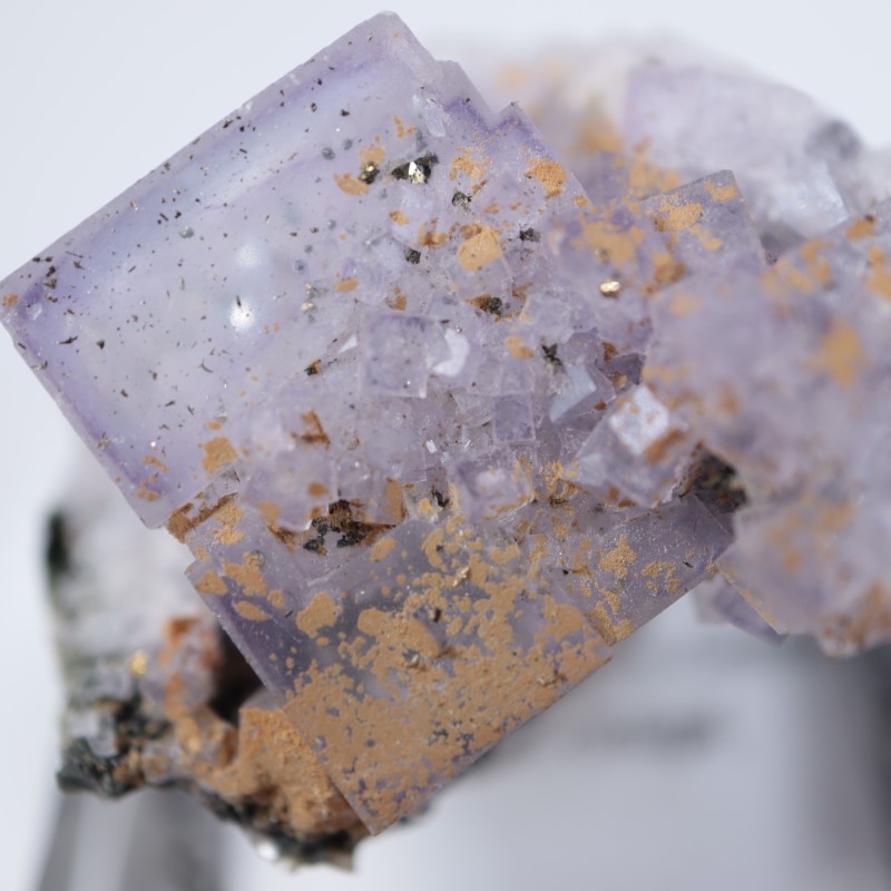 �ѥʥ�������ۻ������С��徽