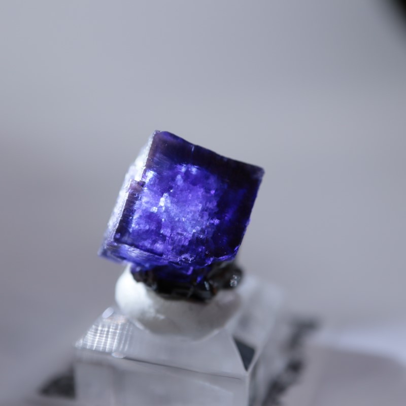 エルムウッド鉱山 フローライト | 鉱物標本,ハ行,フローライト
