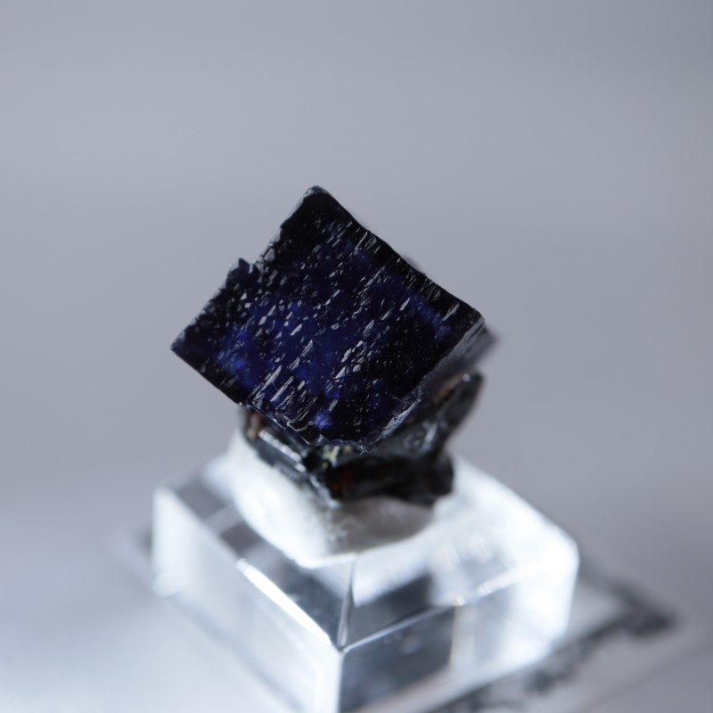 エルムウッド鉱山 フローライト | 鉱物標本,ハ行,フローライト