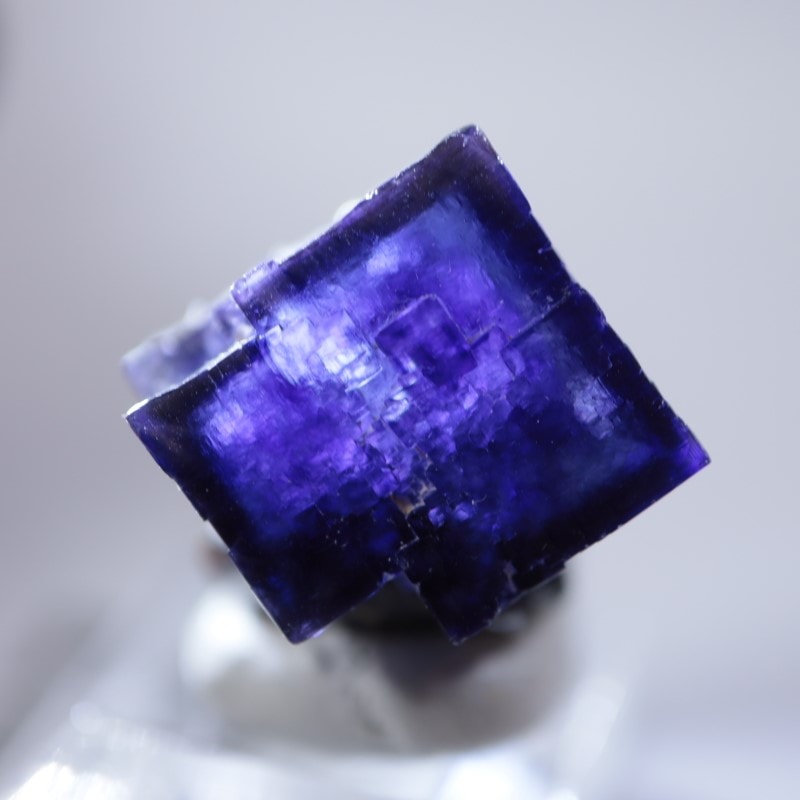 エルムウッド鉱山 フローライト | 鉱物標本,ハ行,フローライト/蛍石