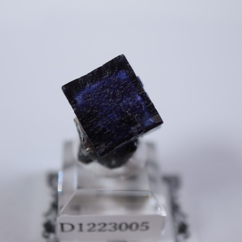 エルムウッド鉱山 フローライト | 鉱物標本,ハ行,フローライト