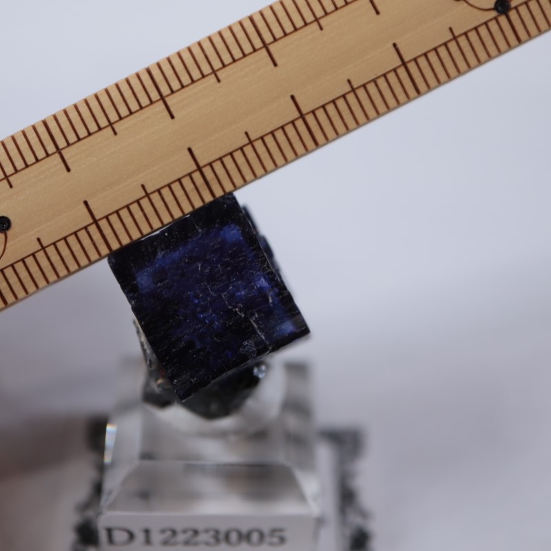 エルムウッド鉱山 フローライト | 鉱物標本,ハ行,フローライト/蛍石