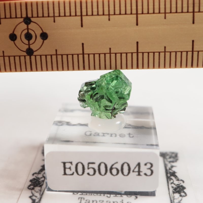 ���󥶥˥�������������顼�����ͥå�