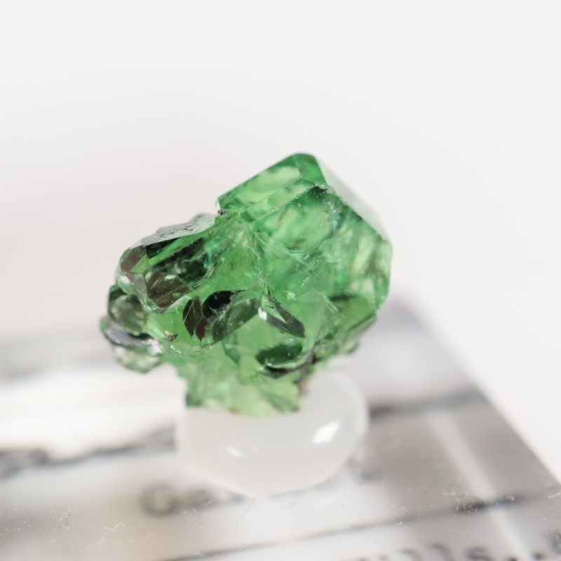 ���󥶥˥�������������顼�����ͥå�