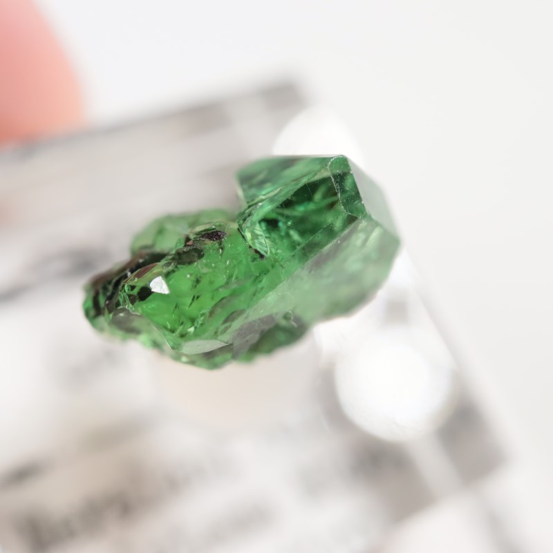 ���󥶥˥�������������顼�����ͥå�