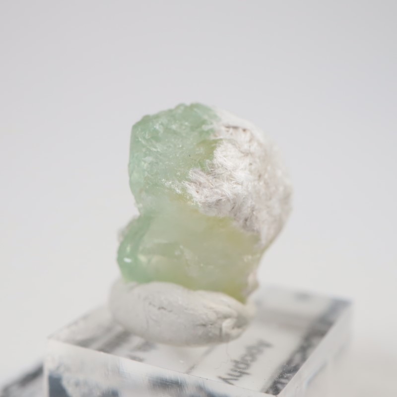 Lonavala�������ݥե��饤��