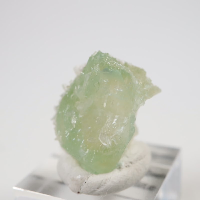 Lonavala�������ݥե��饤��