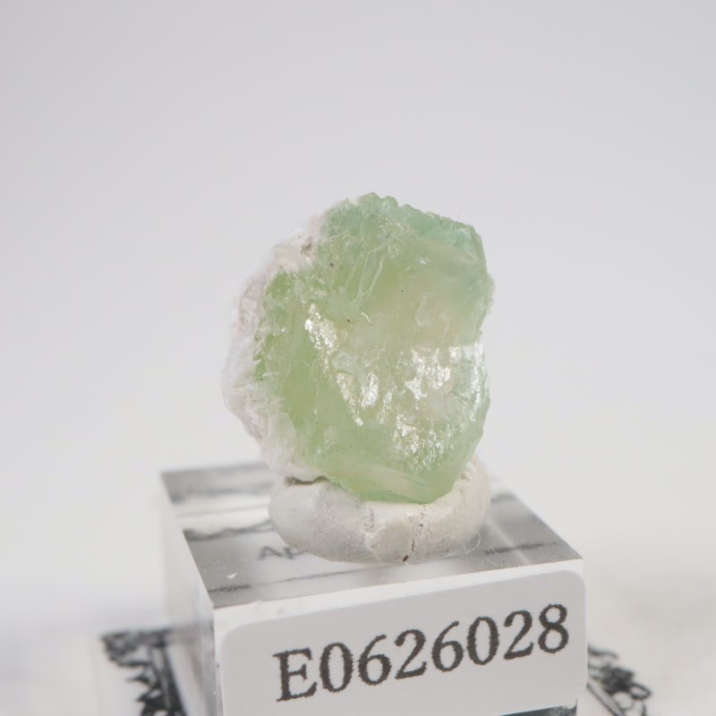 Lonavala�������ݥե��饤��