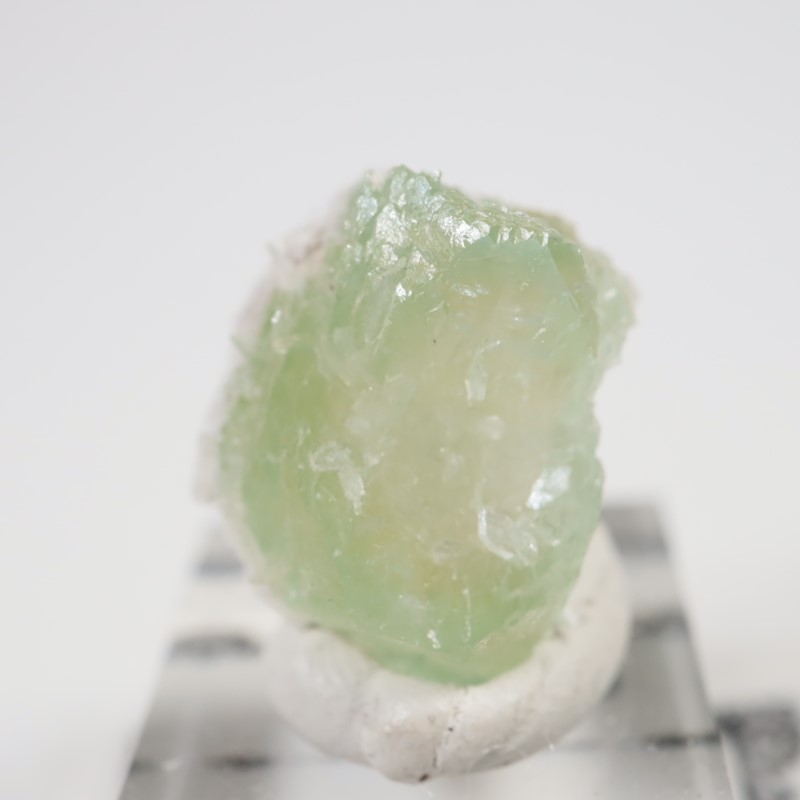 Lonavala�������ݥե��饤��