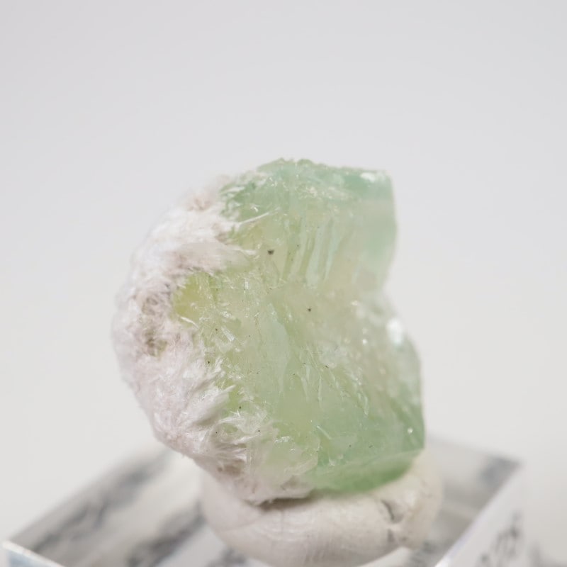 Lonavala�������ݥե��饤��