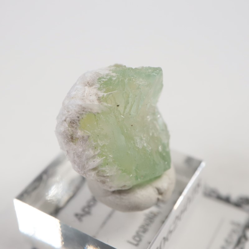 Lonavala�������ݥե��饤��