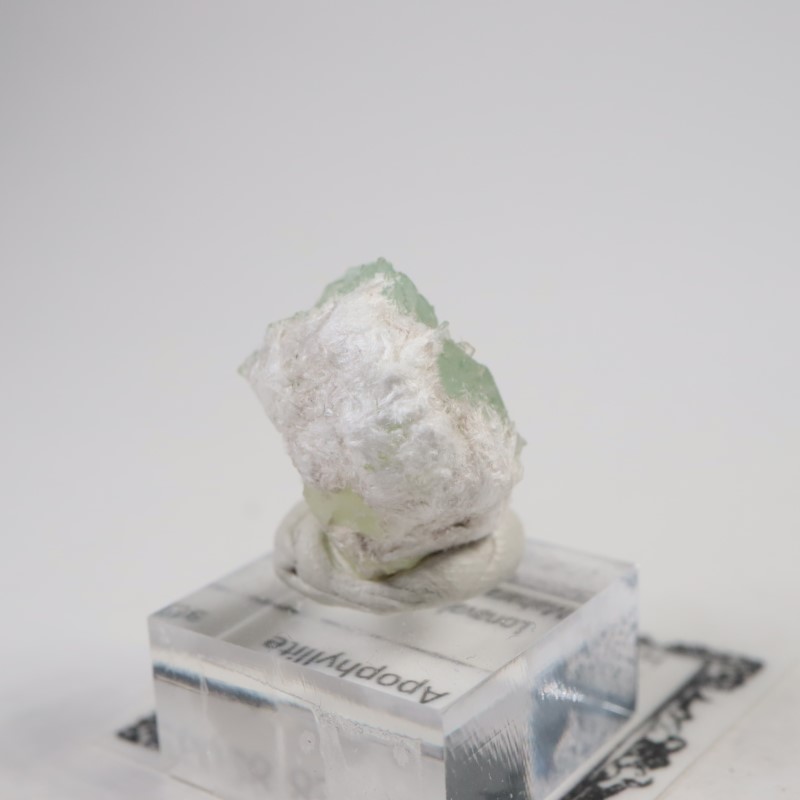 Lonavala�������ݥե��饤��