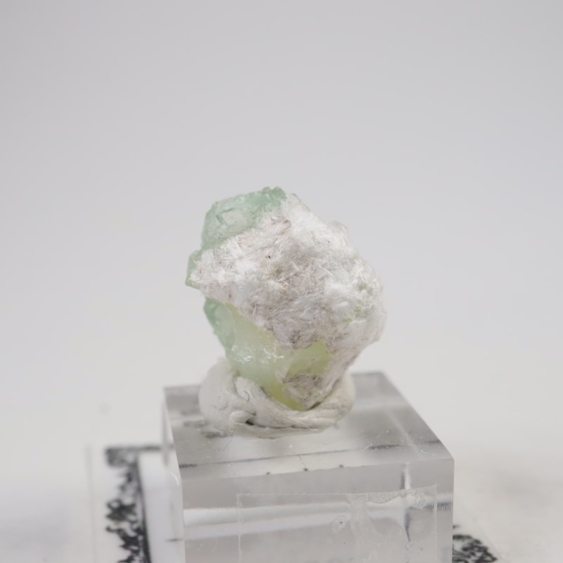 Lonavala�������ݥե��饤��