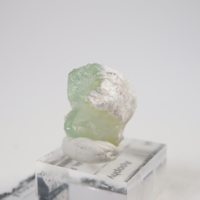 Lonavala�������ݥե��饤��