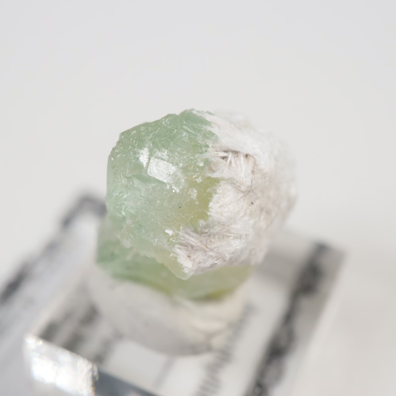 Lonavala�������ݥե��饤��