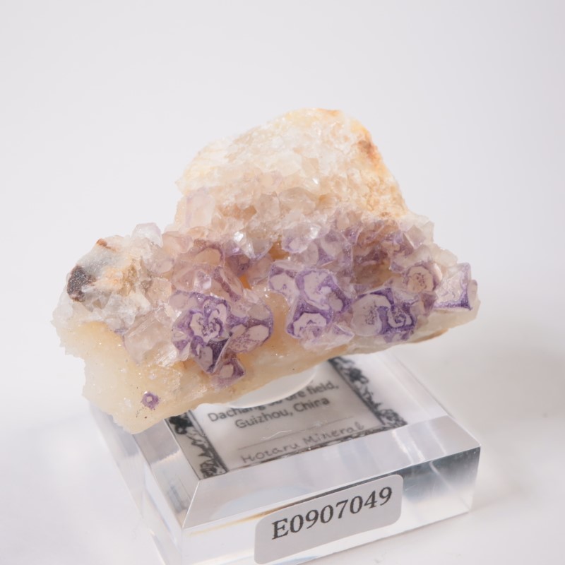 ��� �ե����饤��