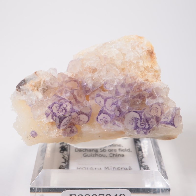 ��� �ե����饤��