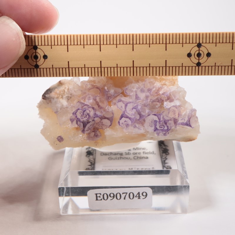 ��� �ե����饤��