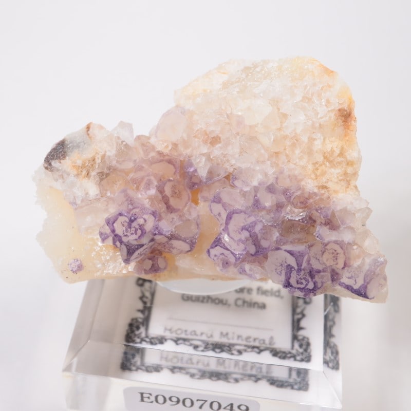 ��� �ե����饤��