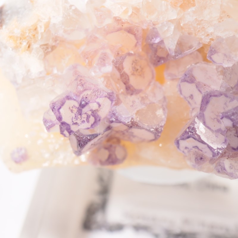 ��� �ե����饤��