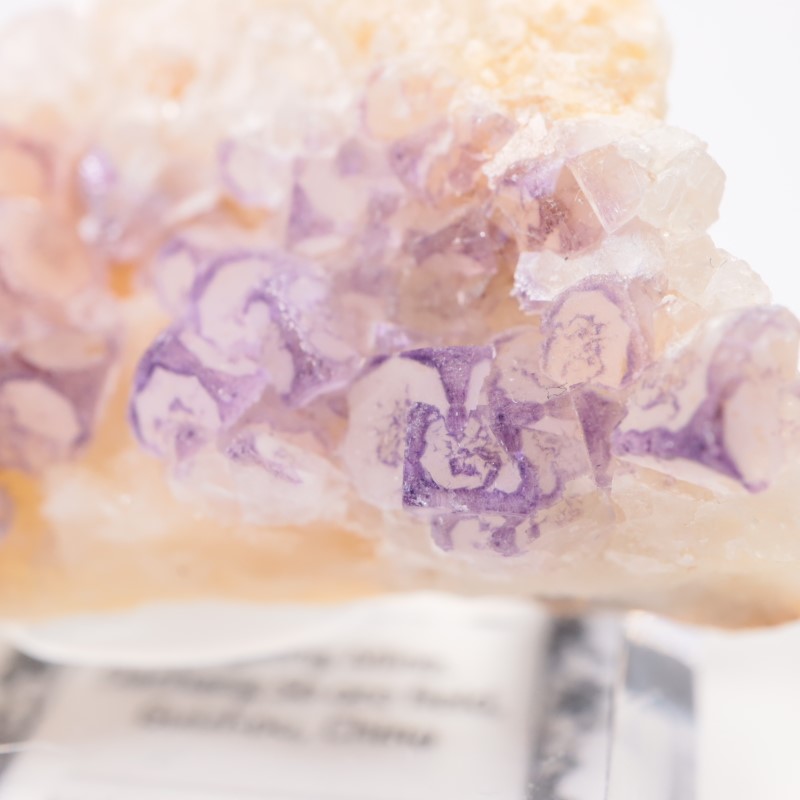 ��� �ե����饤��