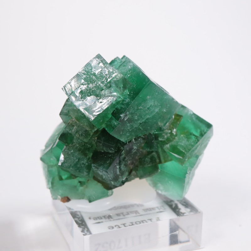 �ǥ����ʥޥꥢ�ۻ��� �ե����饤��