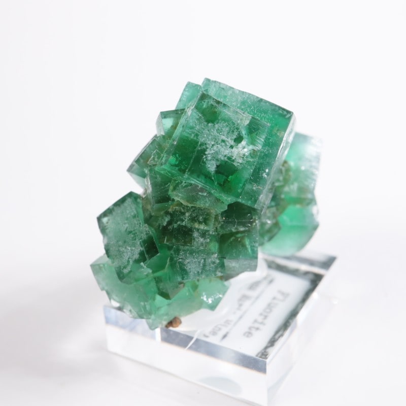 �ǥ����ʥޥꥢ�ۻ��� �ե����饤��