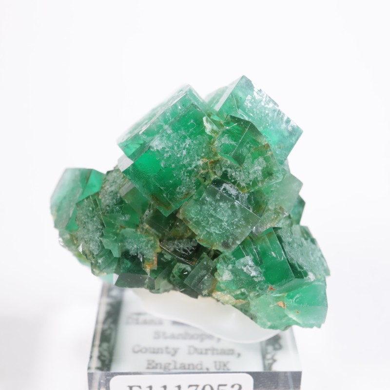 �ǥ����ʥޥꥢ�ۻ��� �ե����饤��