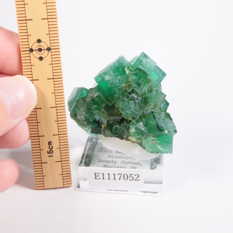 �ǥ����ʥޥꥢ�ۻ��� �ե����饤��