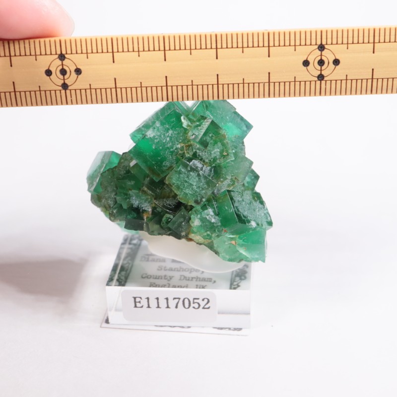 �ǥ����ʥޥꥢ�ۻ��� �ե����饤��