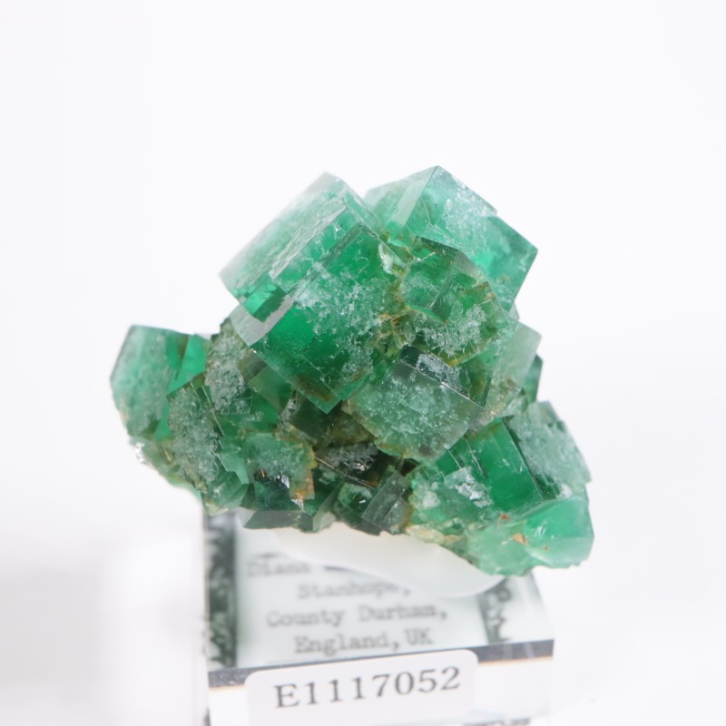 �ǥ����ʥޥꥢ�ۻ��� �ե����饤��